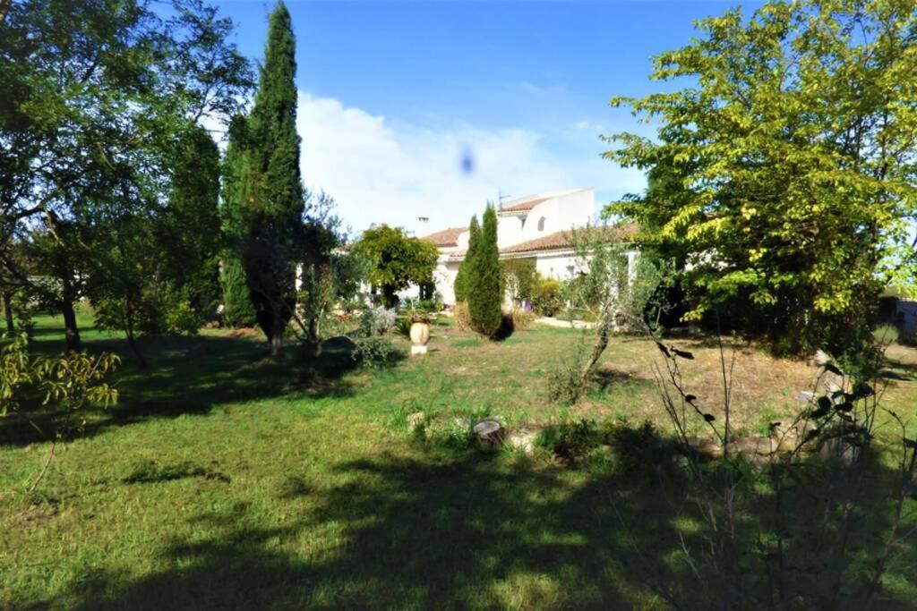 Ibis - Villa Avec Piscine, Jardin Et Parking Arles Exterior foto
